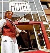 Ringhotel فندق
